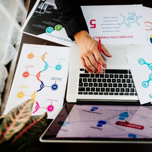 Web-designer-activities