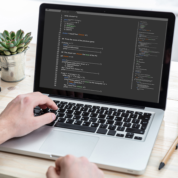 Responsive Websites & Branding Services