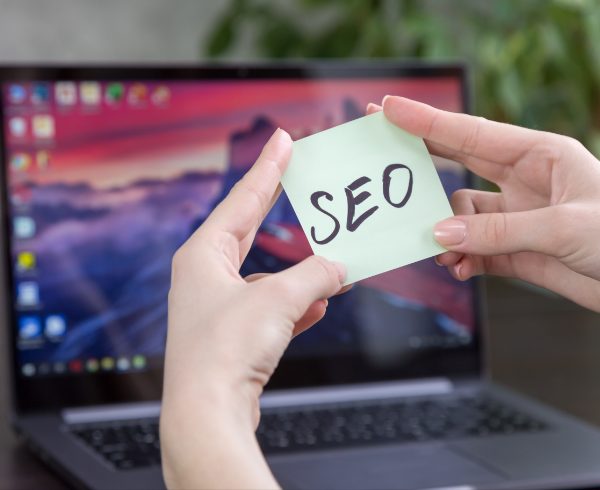 SEO Vs PPC Traffic Performance Metrics