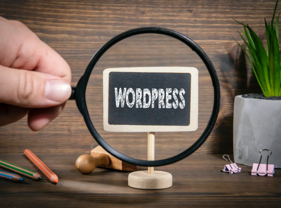 Wordpress Critical Error